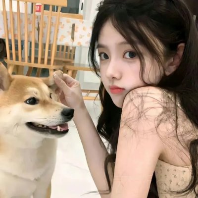 红狐